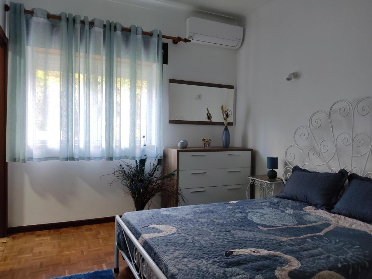 Vila Casa Dos Avos Vouzela Exteriér fotografie