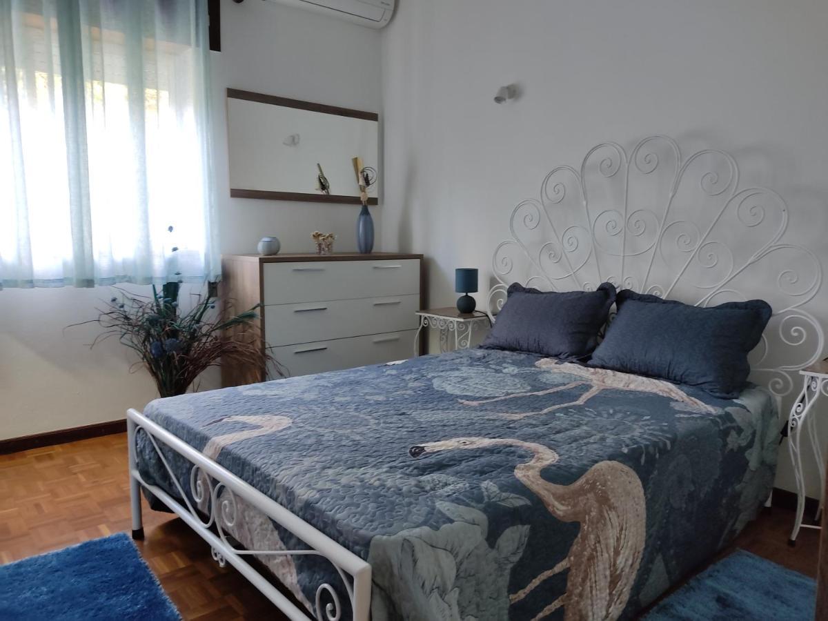 Vila Casa Dos Avos Vouzela Exteriér fotografie