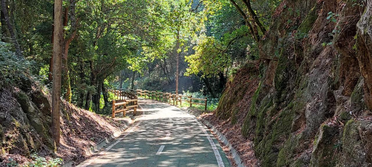 Vila Casa Dos Avos Vouzela Exteriér fotografie