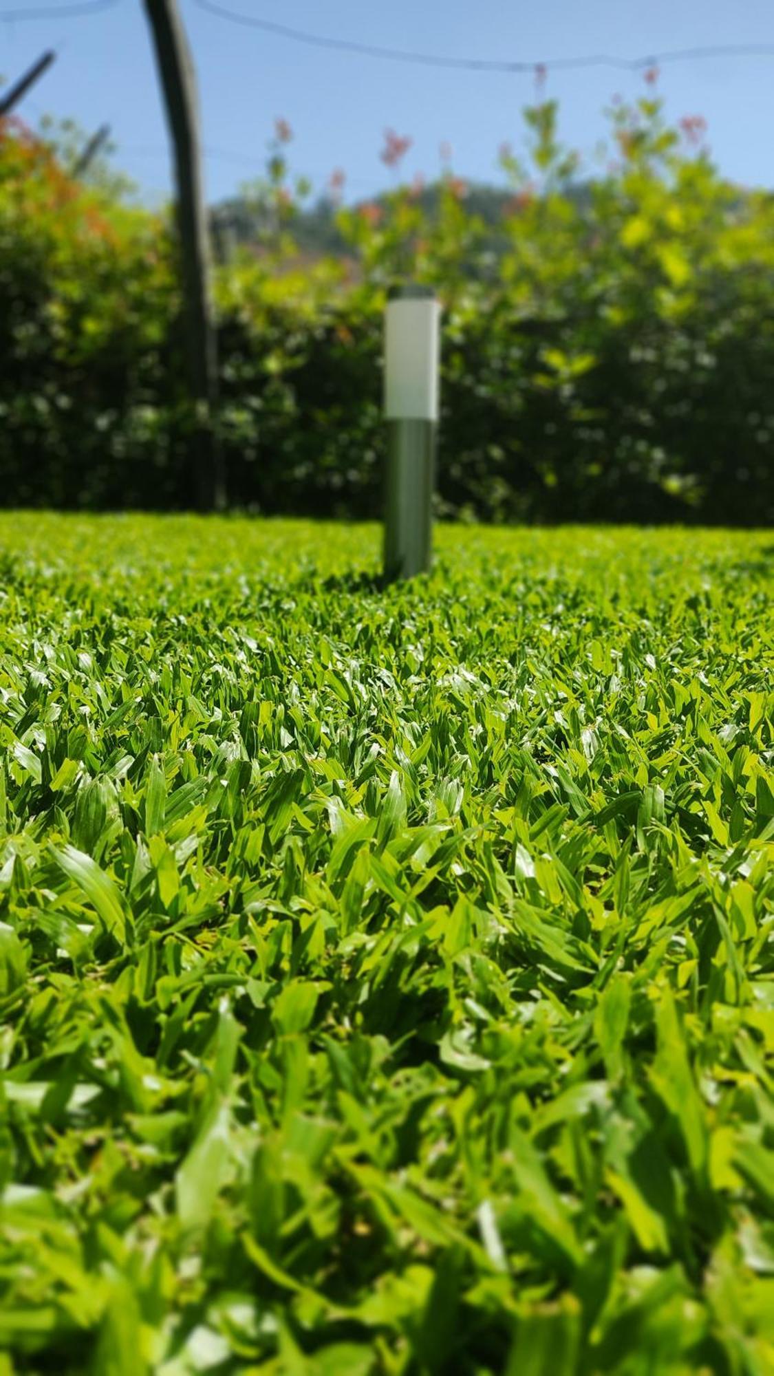 Vila Casa Dos Avos Vouzela Exteriér fotografie